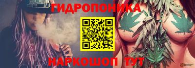 мдпв Сланцы
