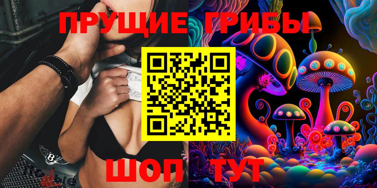 Псилоцибиновые грибы ЛСД  Вход с VPN  Новозыбков 